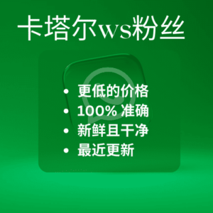 卡塔尔ws粉丝​