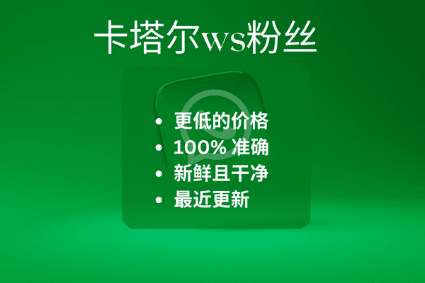 卡塔尔ws粉丝​