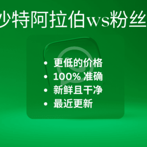 沙特阿拉伯ws粉丝​