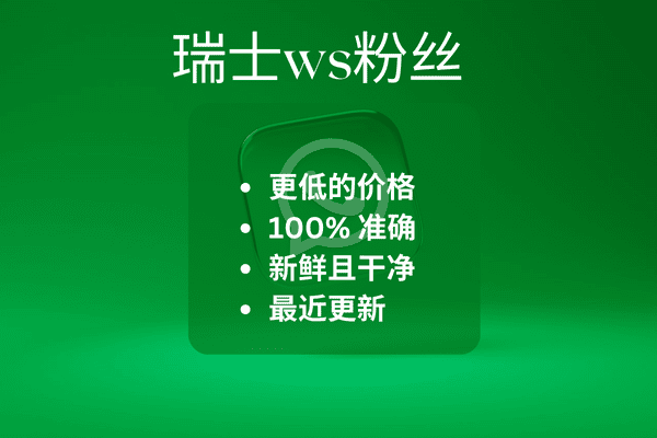 瑞士ws粉丝​