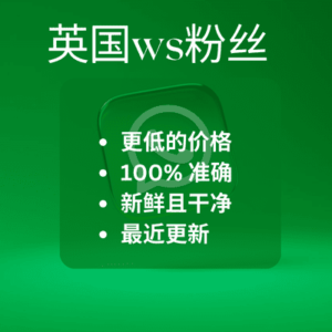 英国 WS Fans​