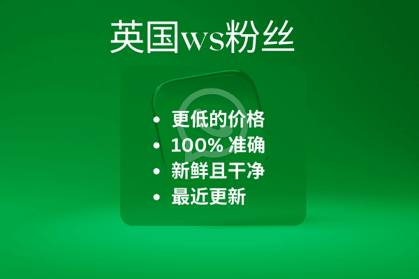 英国 WS Fans​