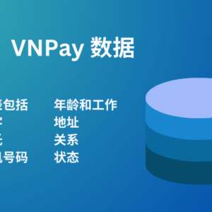 VNPay 数据