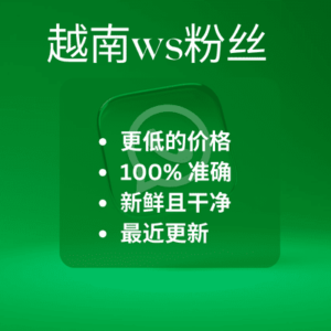 越南ws粉丝​