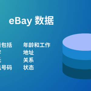 eBay 数据