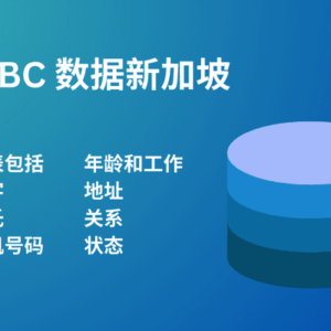 BC 数据新加坡