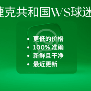 捷克共和国WS球迷
